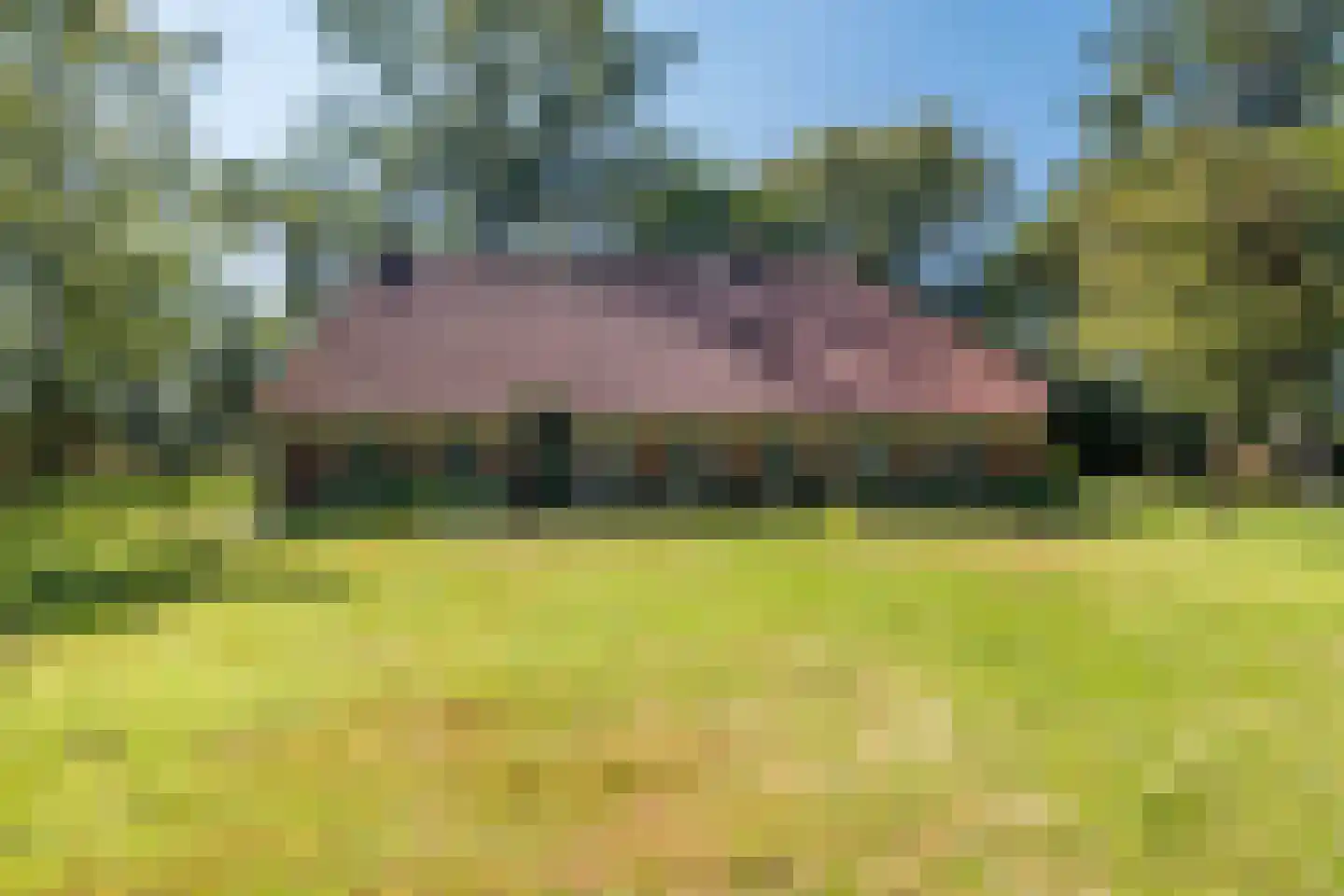 Borgerweg 12 Sellingen thumbnail 6
