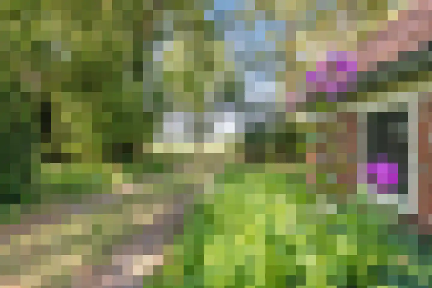 Borgerweg 12 Sellingen thumbnail 7