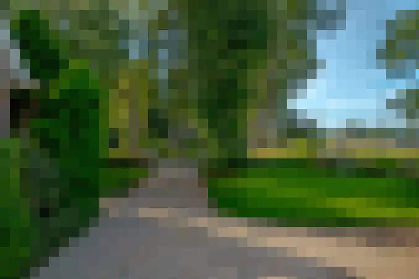 Borgerzijtak 20 Odoornerveen thumbnail 12