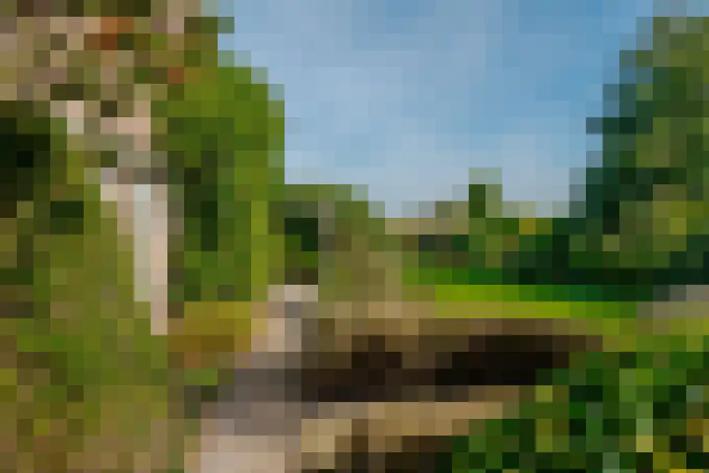 Borgerzijtak 20 Odoornerveen thumbnail 13