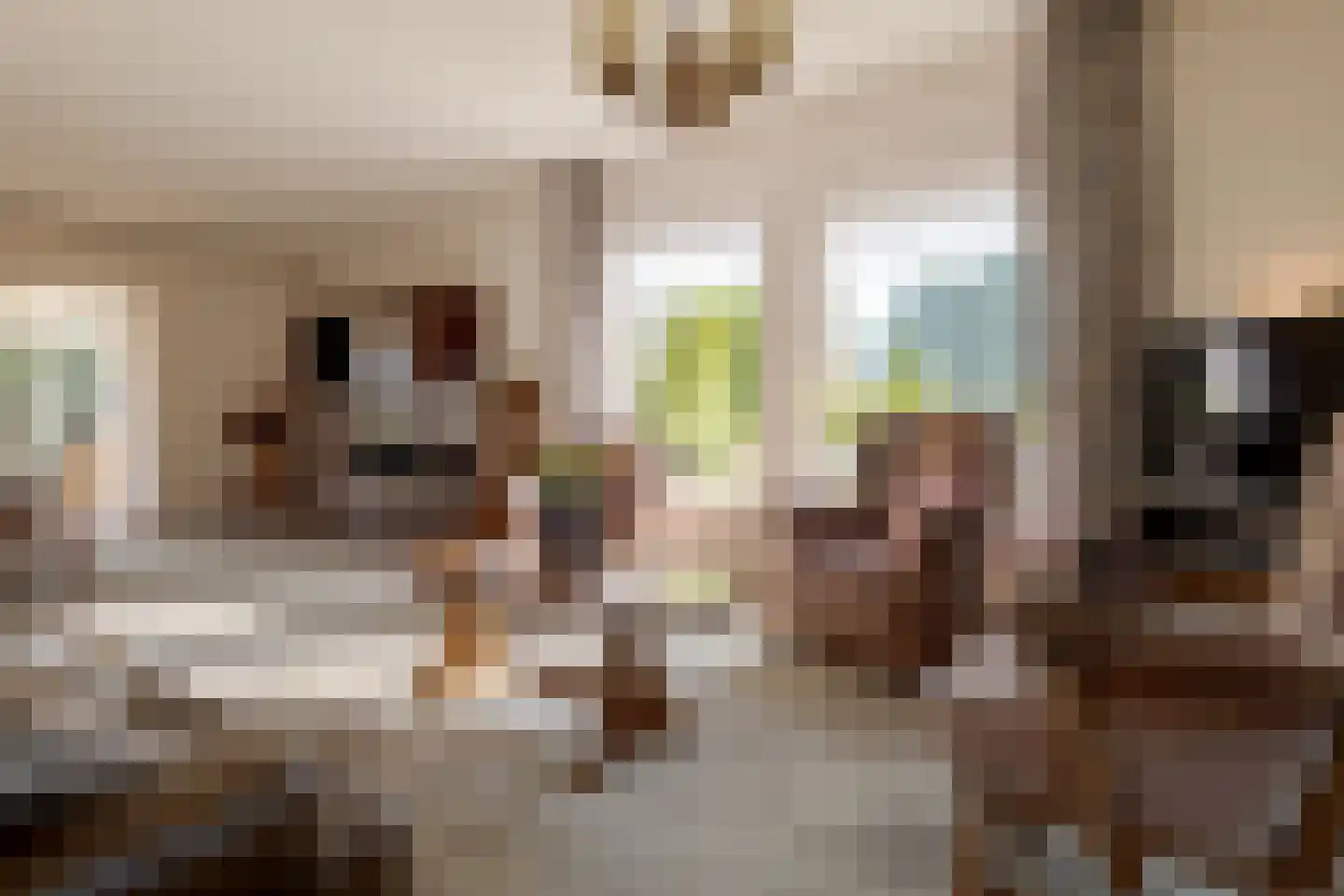 Borgerzijtak 20 Odoornerveen thumbnail 20