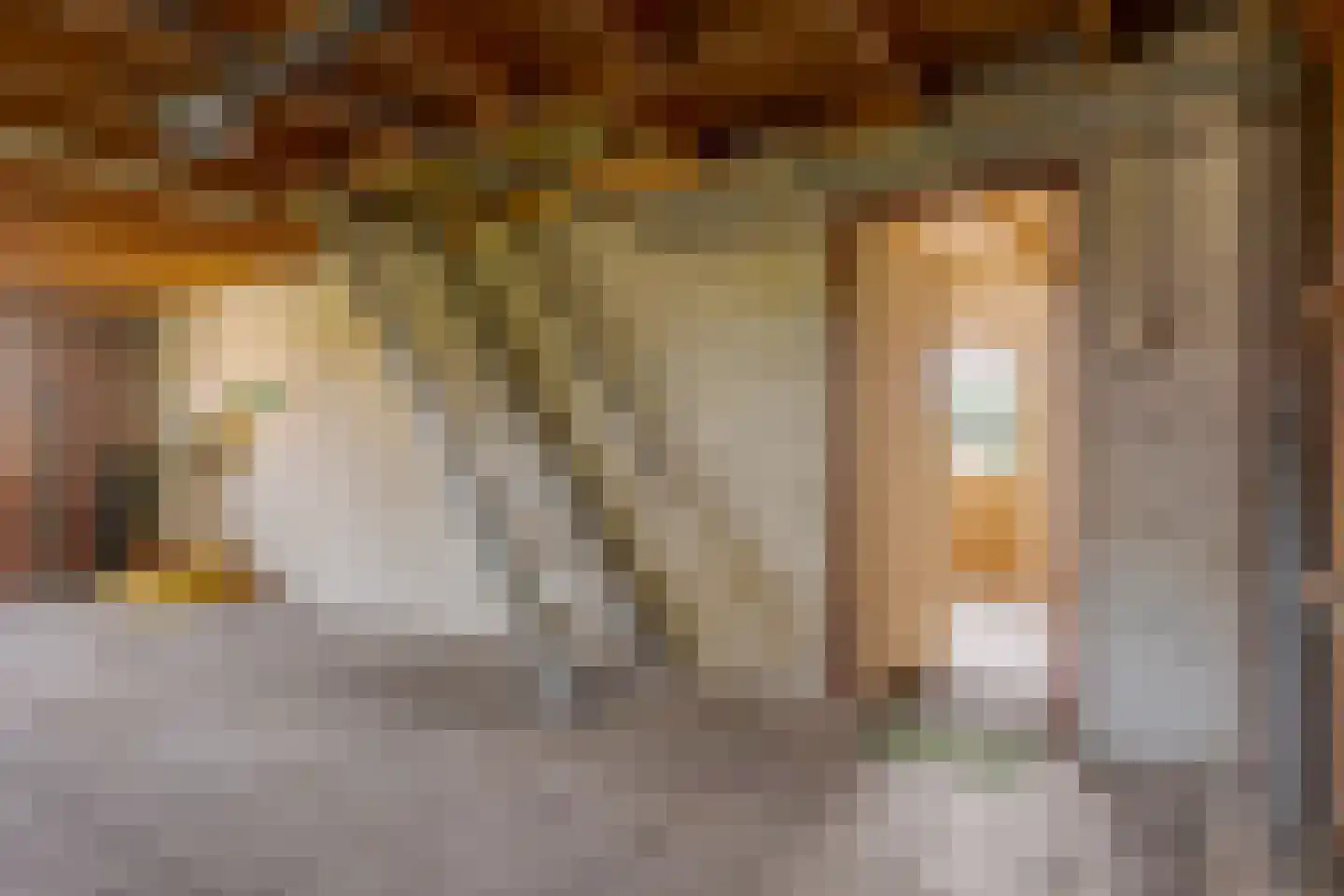 Borgerzijtak 20 Odoornerveen thumbnail 39
