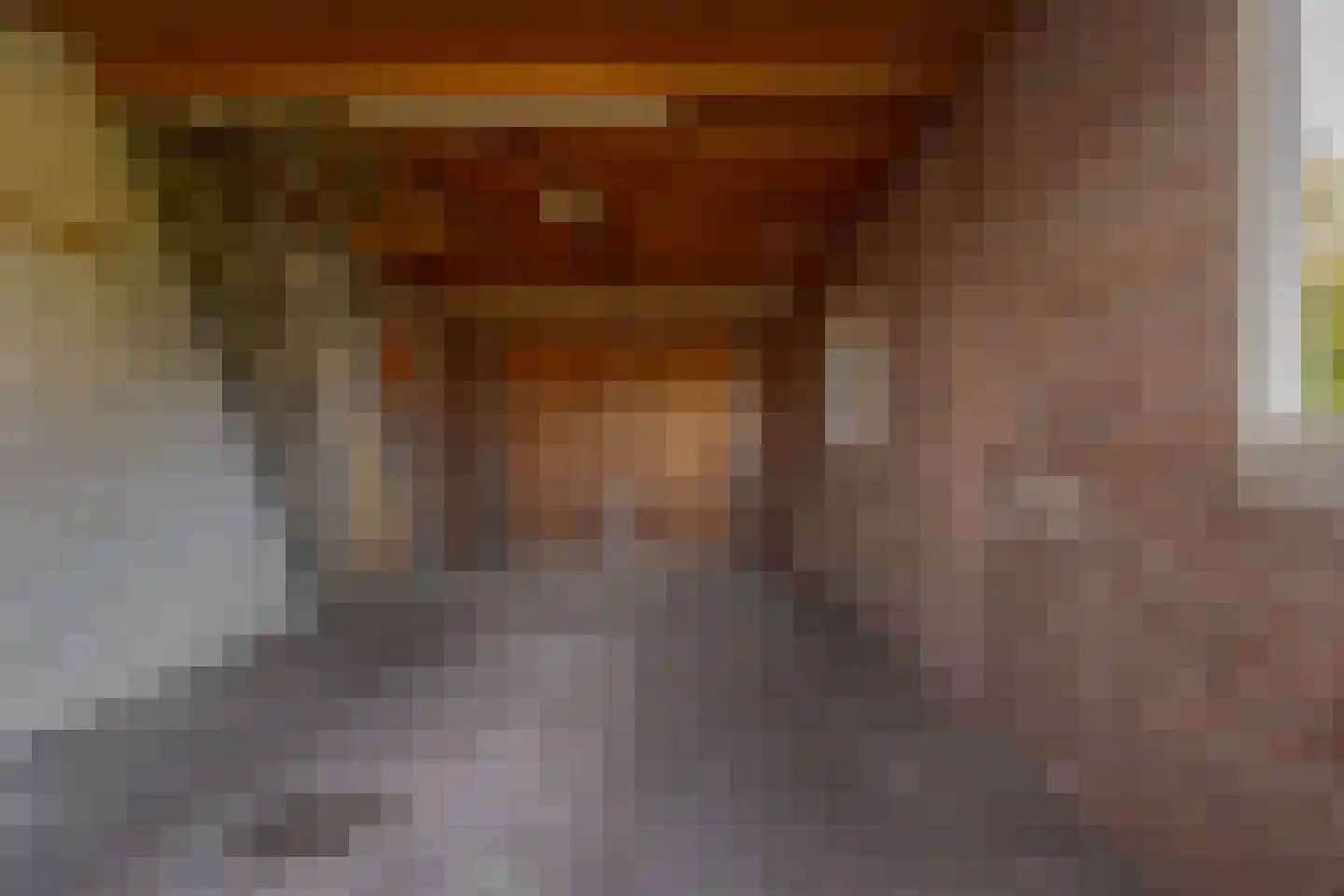 Borgerzijtak 20 Odoornerveen thumbnail 41