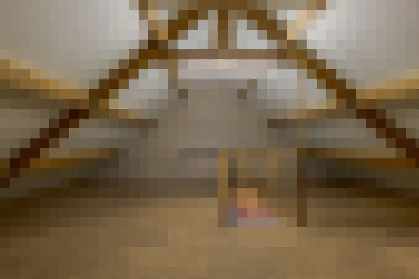 Borgerzijtak 20 Odoornerveen thumbnail 42