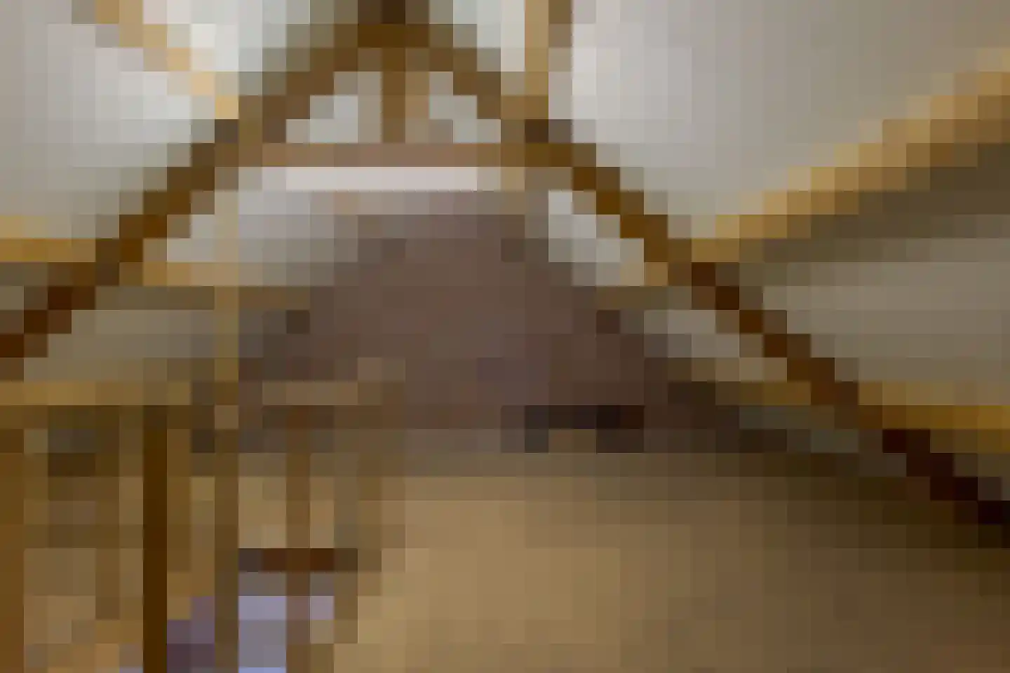 Borgerzijtak 20 Odoornerveen thumbnail 43
