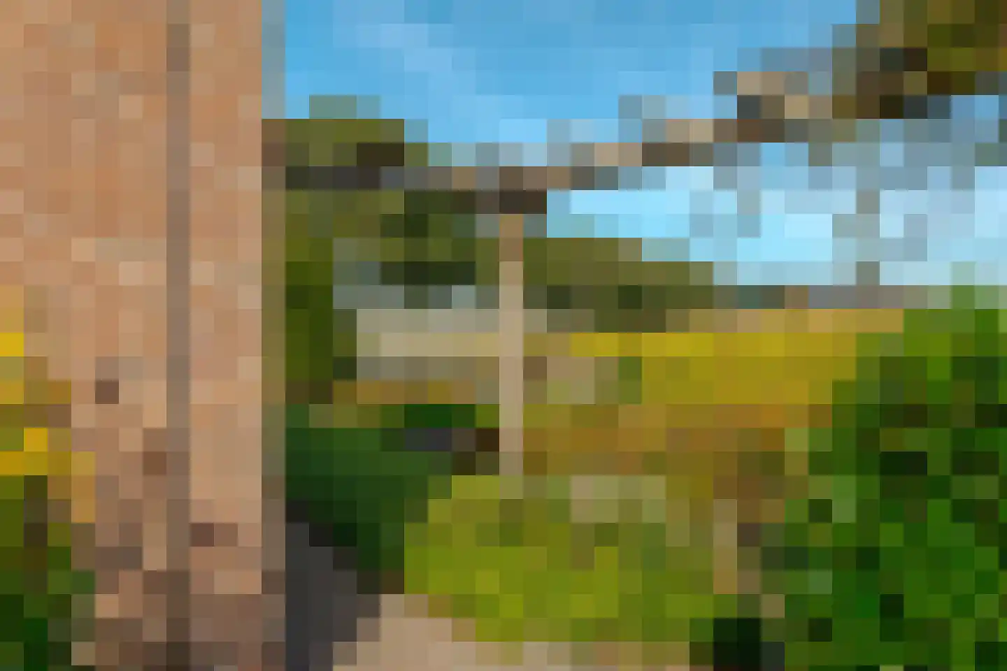 Borgerzijtak 20 Odoornerveen thumbnail 50
