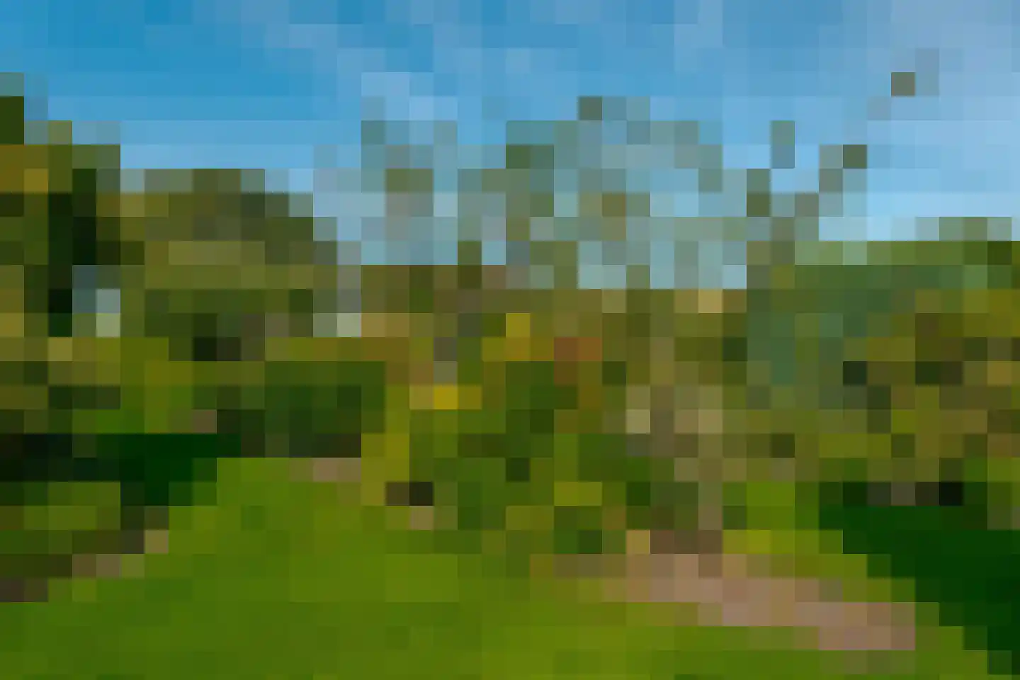 Borgerzijtak 20 Odoornerveen thumbnail 60