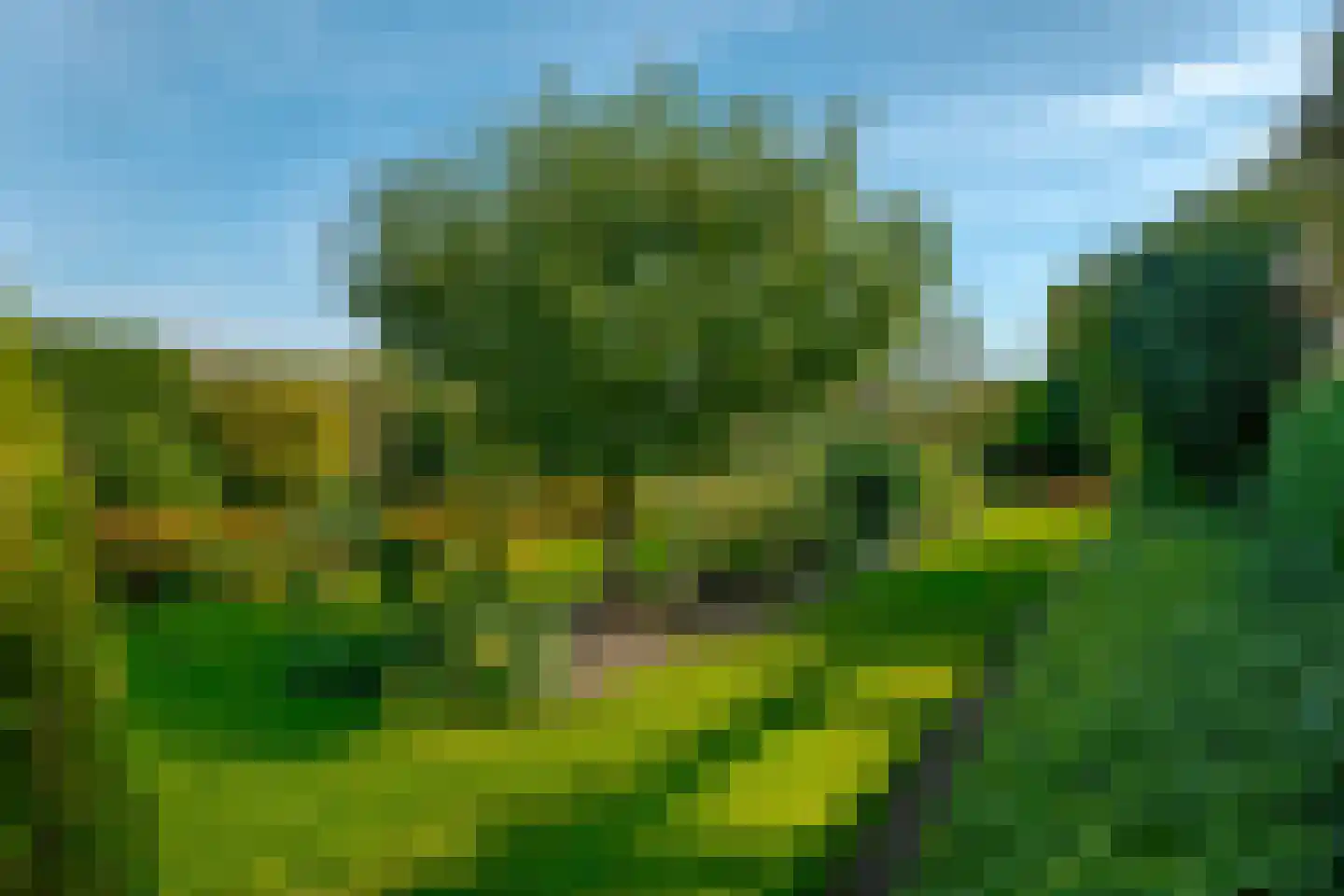 Borgerzijtak 20 Odoornerveen thumbnail 61
