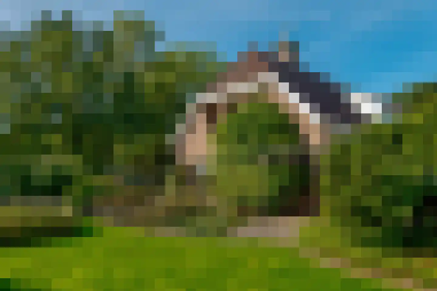Borgerzijtak 20 Odoornerveen thumbnail 62