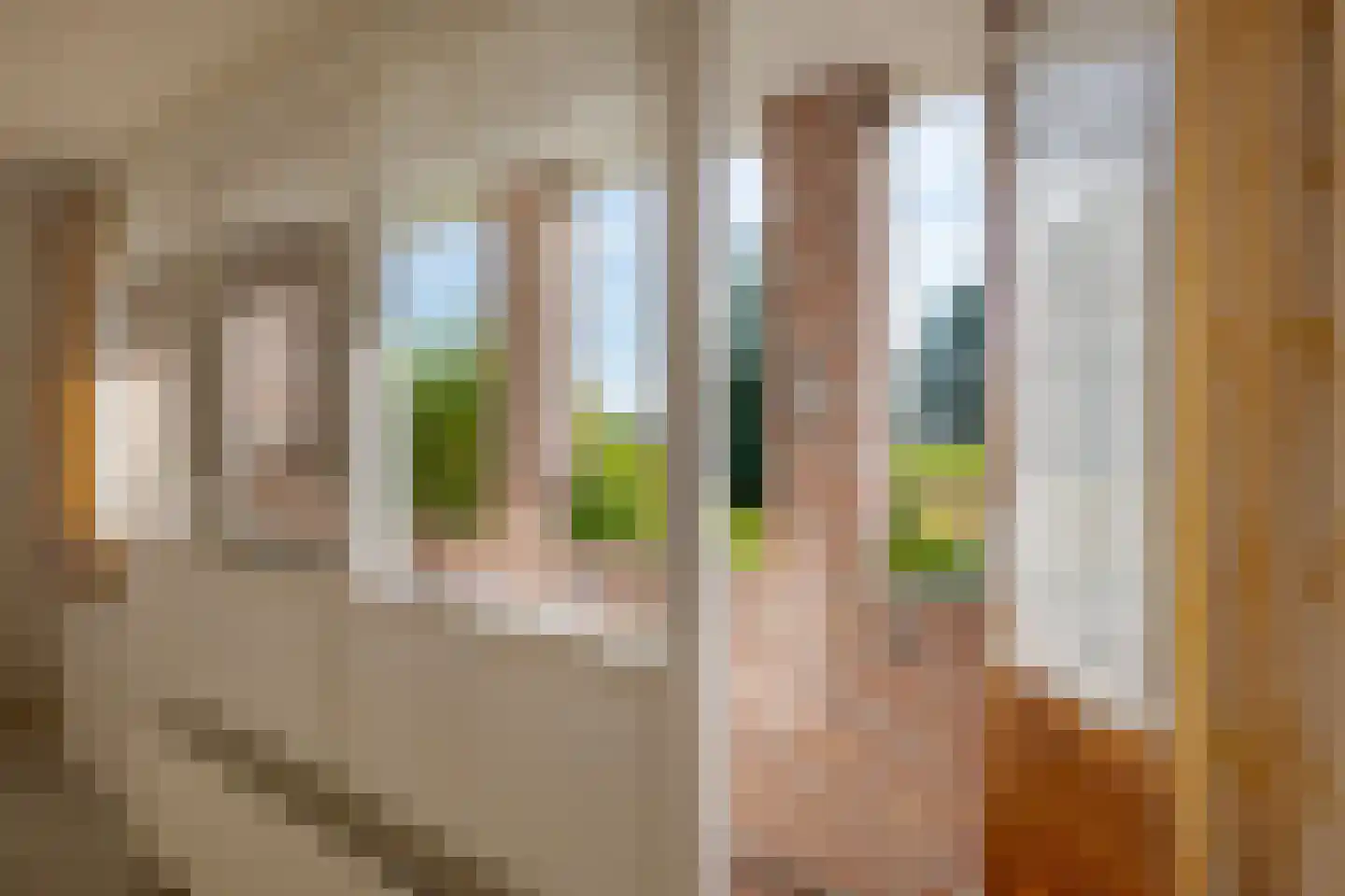 Borgerzijtak 20 Odoornerveen thumbnail 78