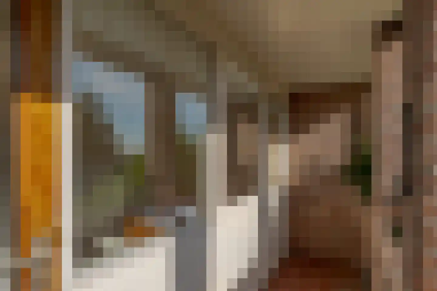 Borgerzijtak 20 Odoornerveen thumbnail 79