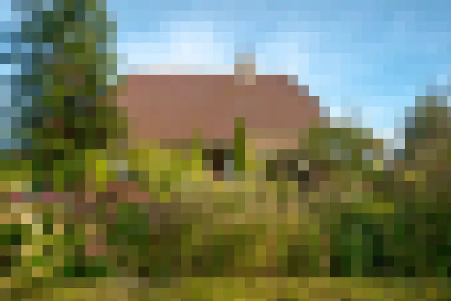 Borgerzijtak 20 Odoornerveen thumbnail 8