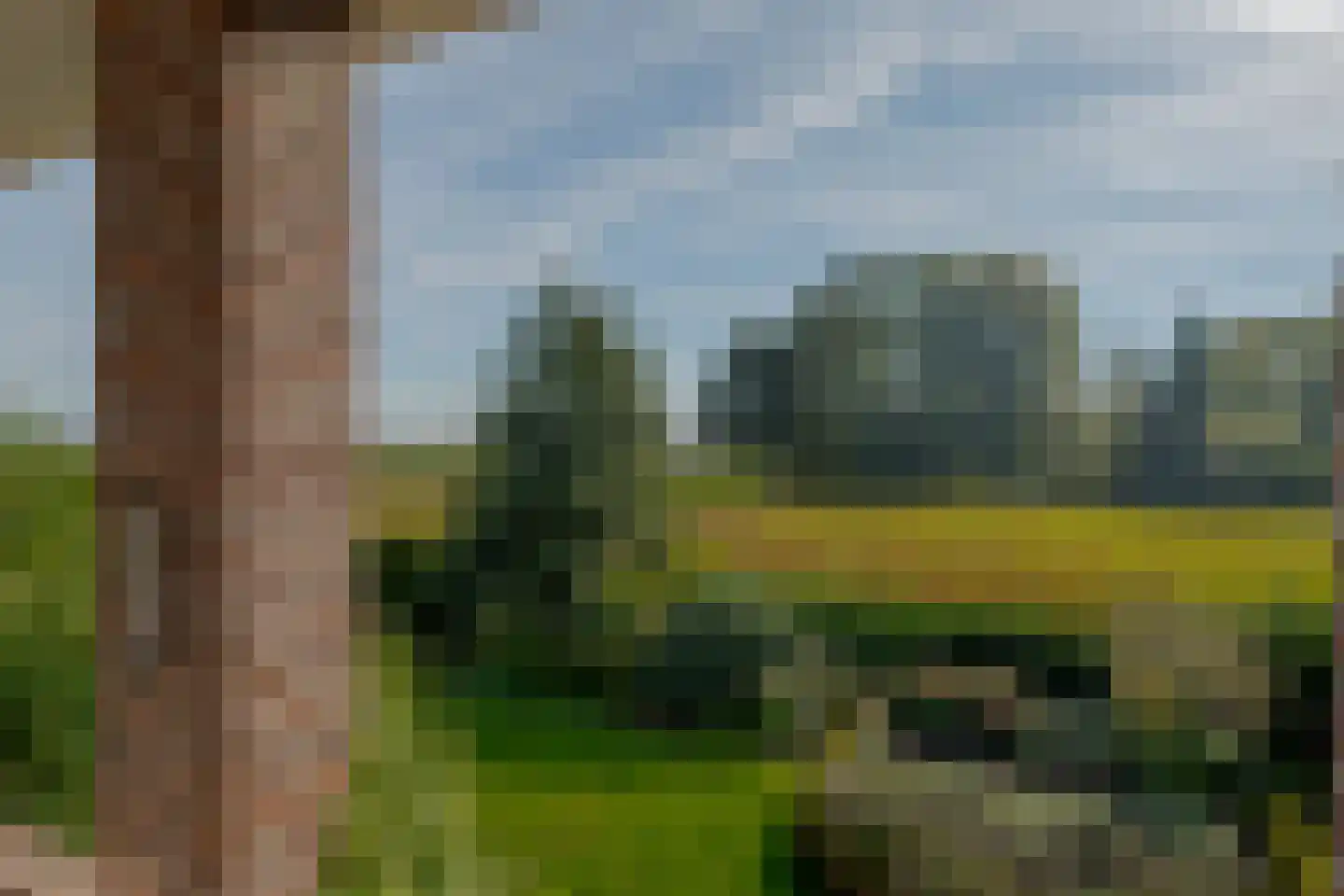 Borgerzijtak 20 Odoornerveen thumbnail 80