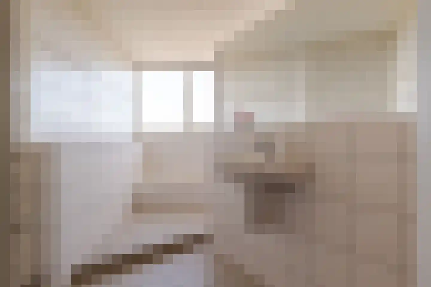 Borgerzijtak 20 Odoornerveen thumbnail 86