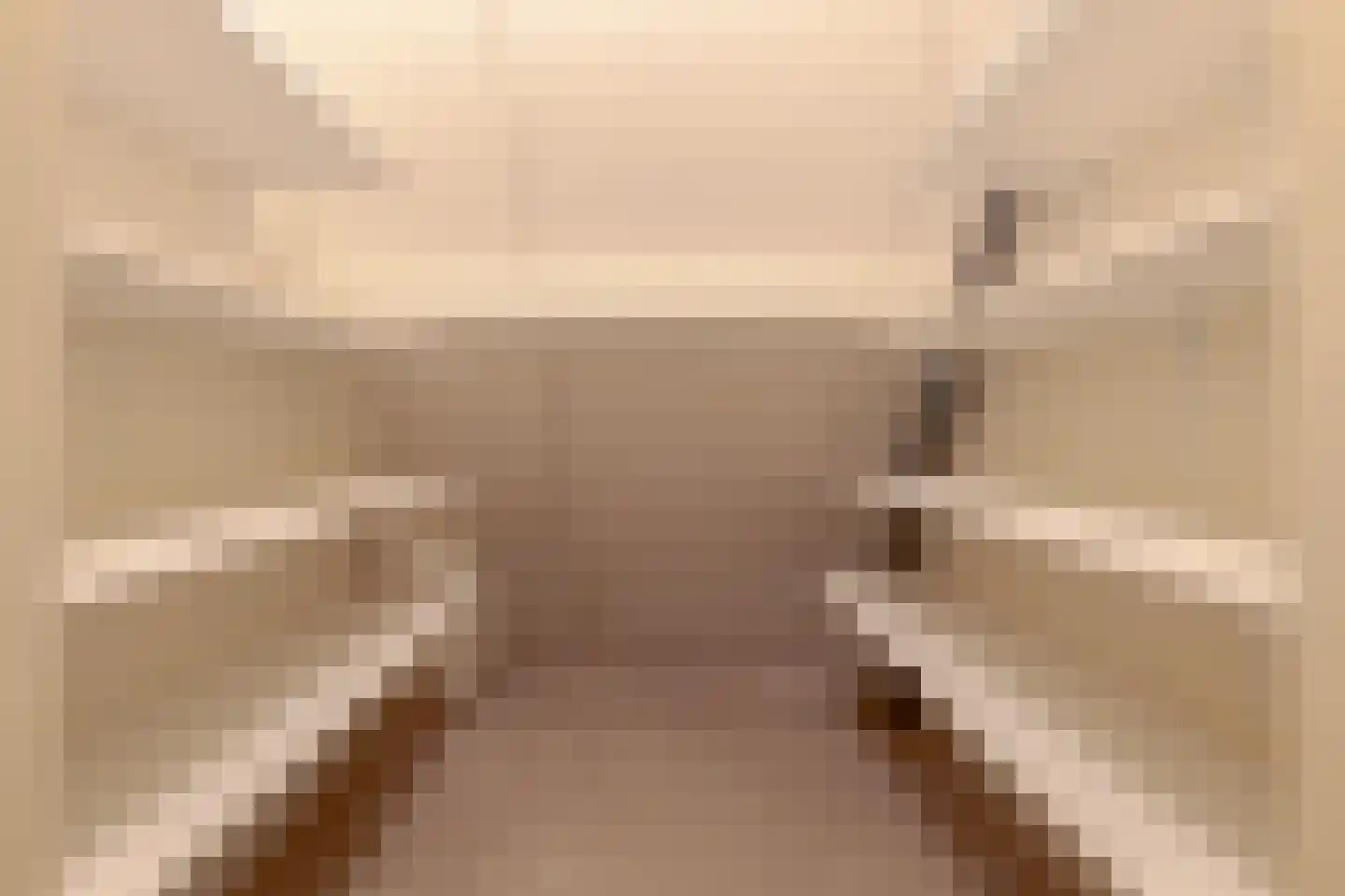 Borgerzijtak 20 Odoornerveen thumbnail 93