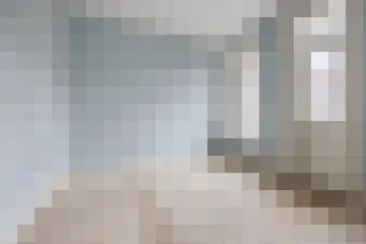 Borgesiusstraat 101 A Rotterdam thumbnail 7