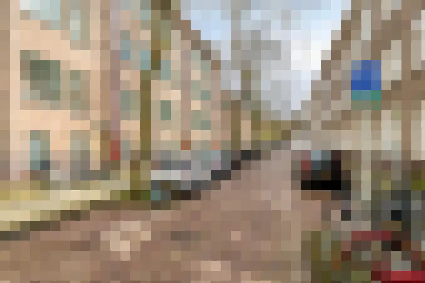 Borgesiusstraat 29 A 01 Rotterdam thumbnail 23