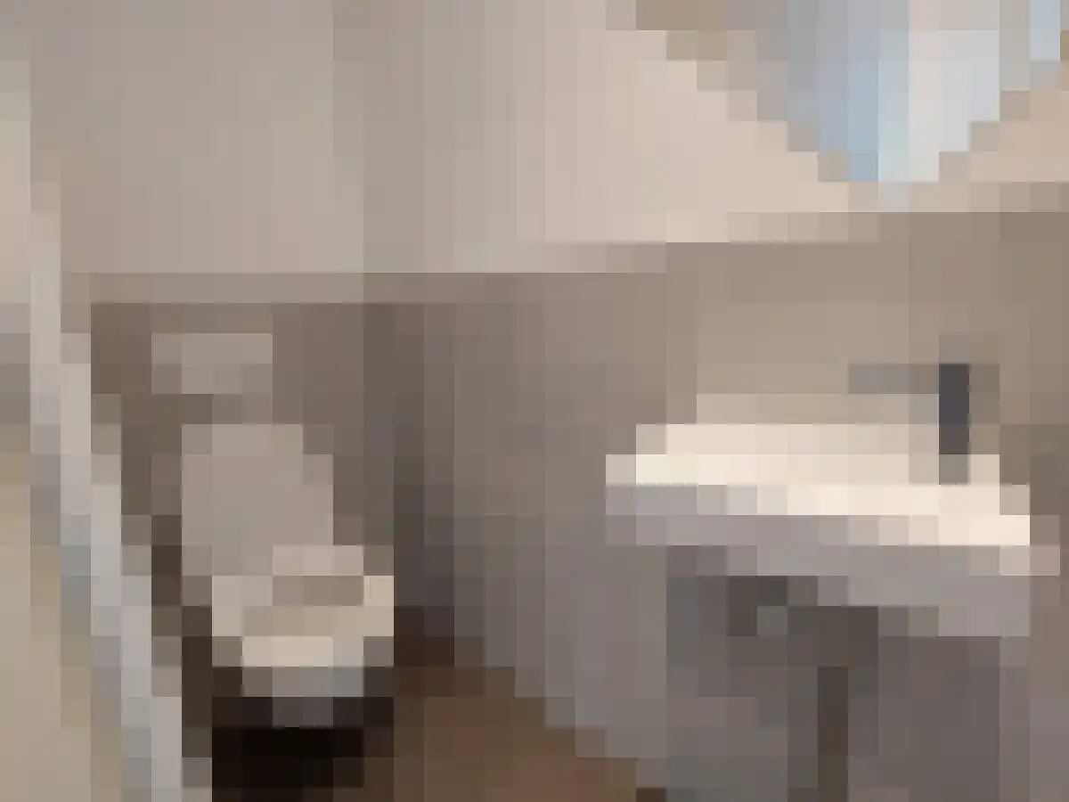 Borgesiusstraat 33 Rotterdam thumbnail 6