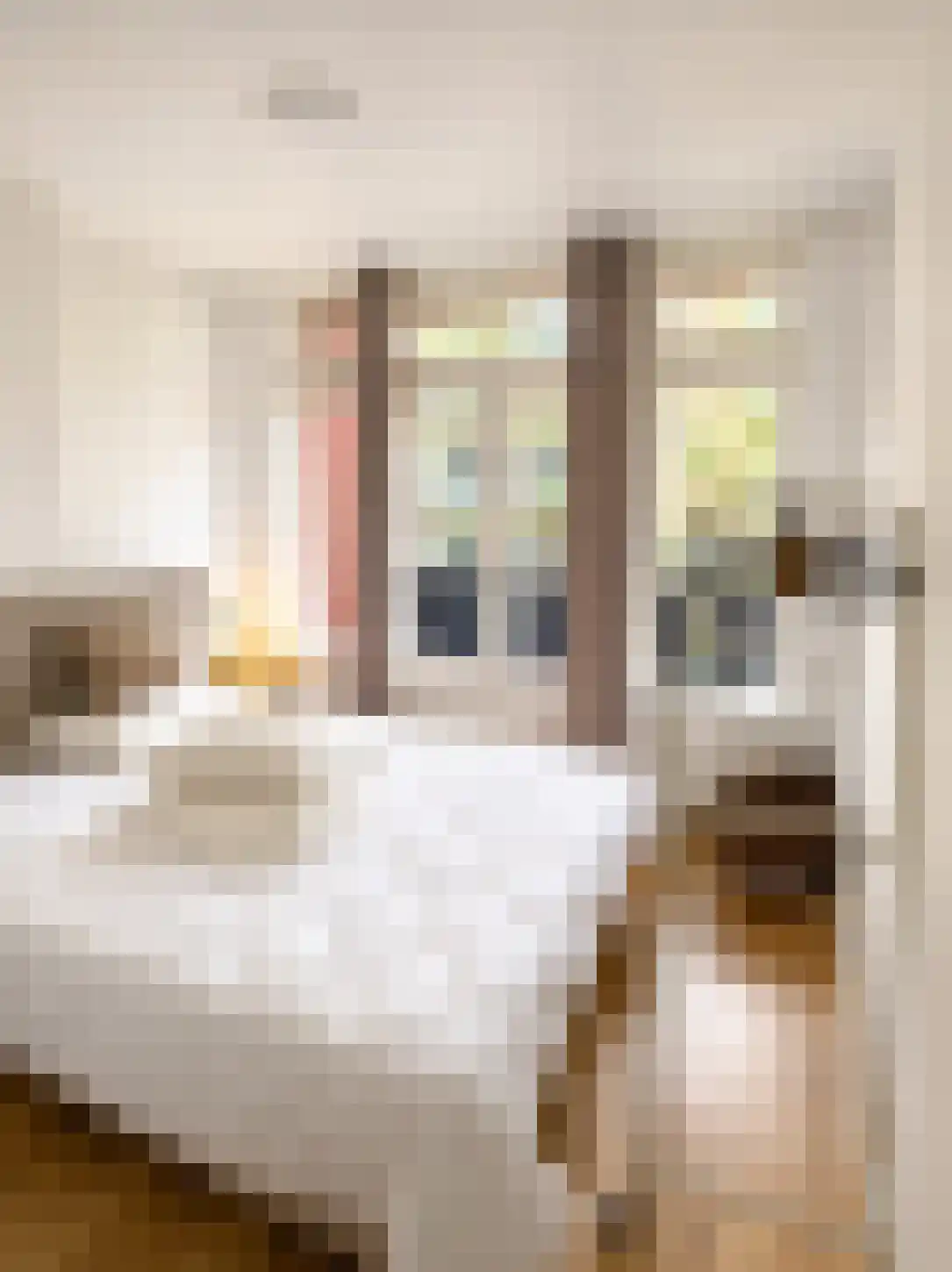 Borgesiusstraat 37 Rotterdam thumbnail 5