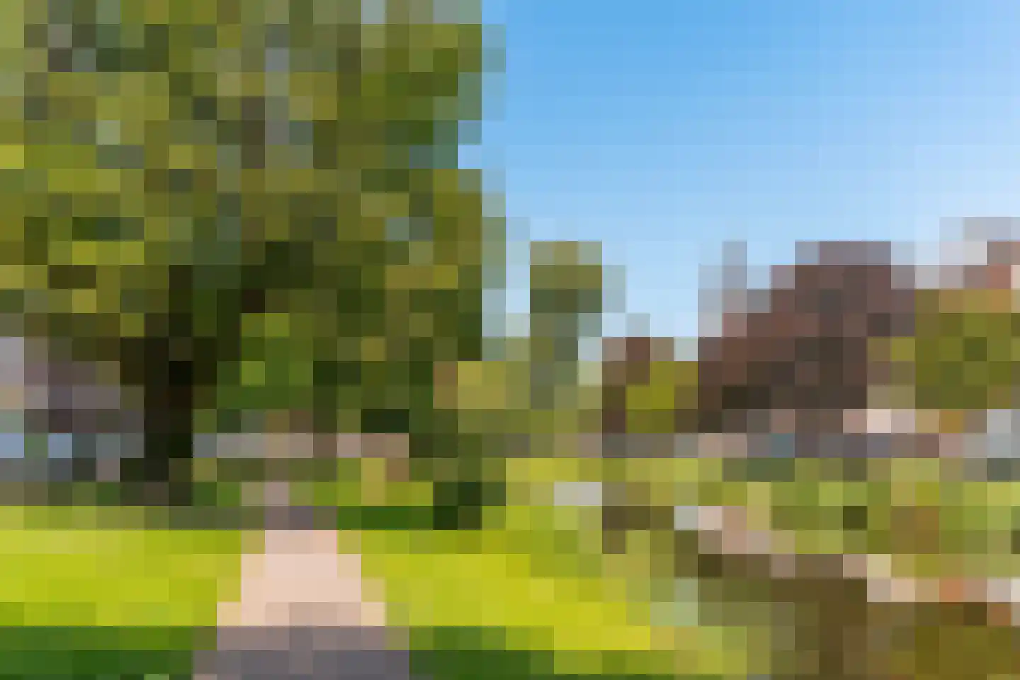 Borgesiusstraat 63 B 02 Rotterdam thumbnail 34