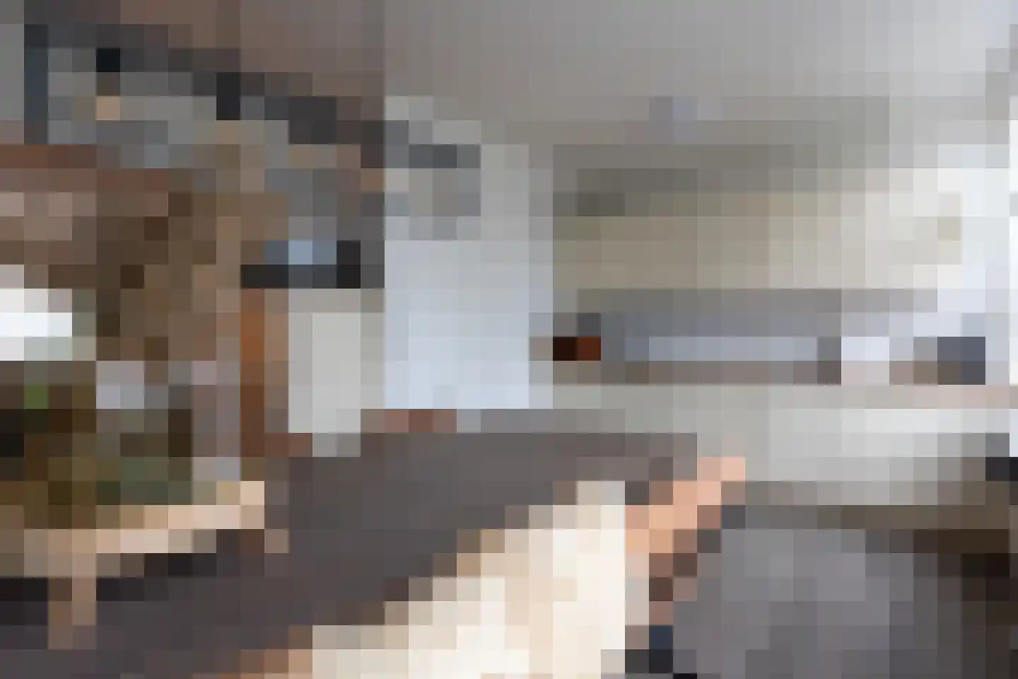 Borggrevelanden 2 Enschede thumbnail 11