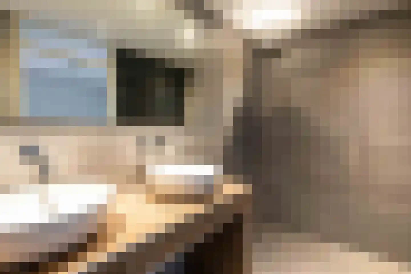 Borggrevelanden 2 Enschede thumbnail 21