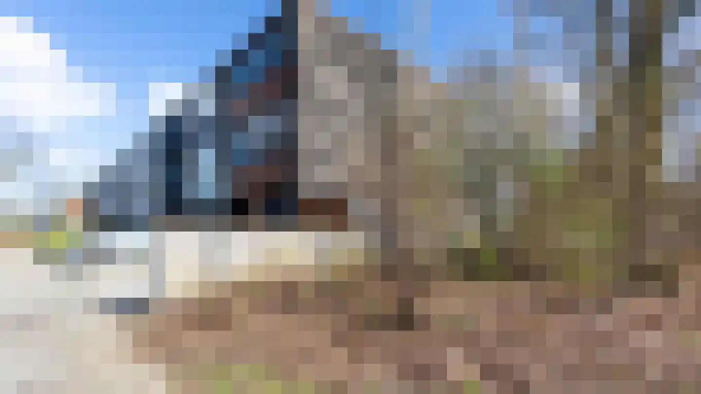 Borggrevelanden 2 Enschede thumbnail 28