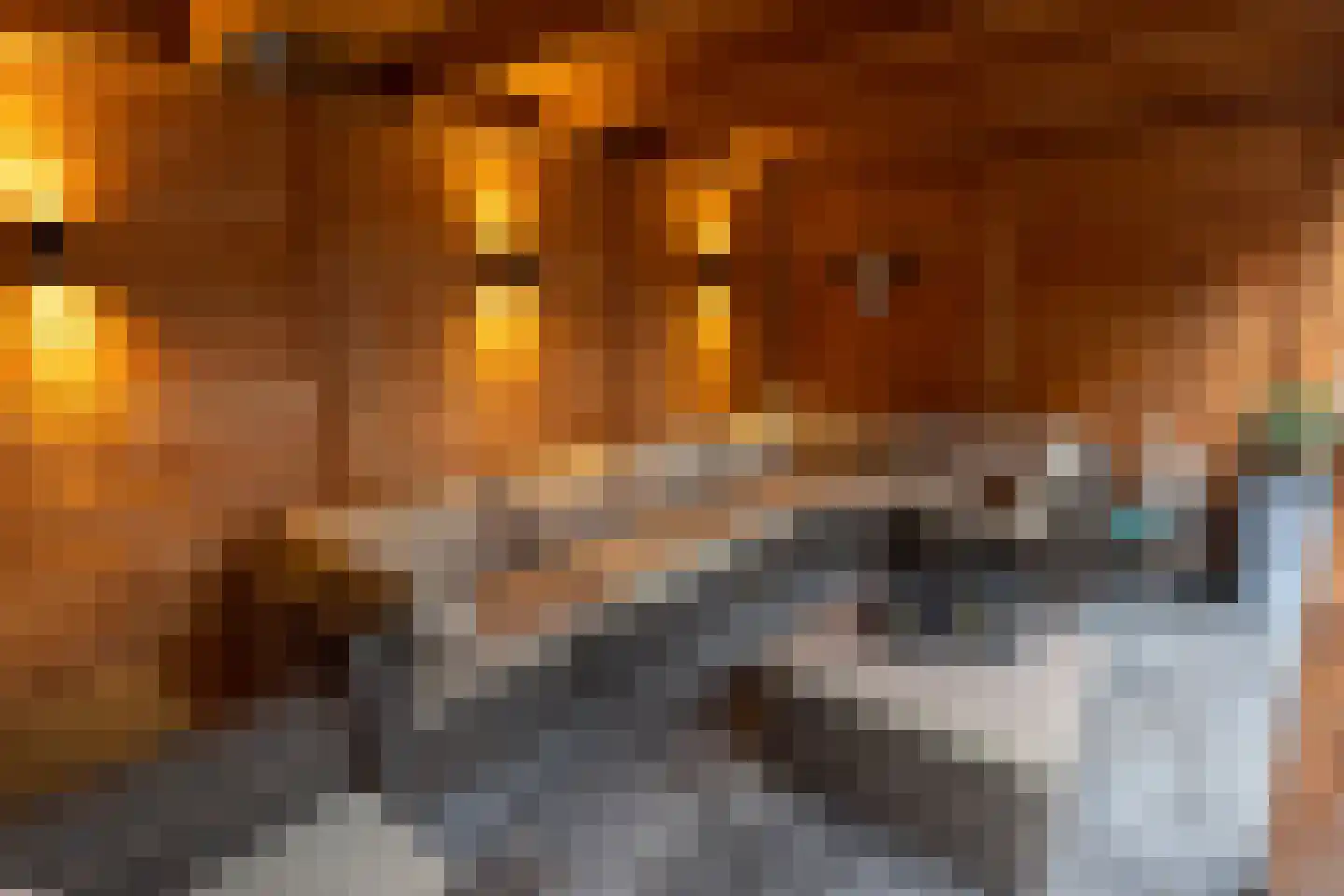 Borggrevelanden 2 Enschede thumbnail 8