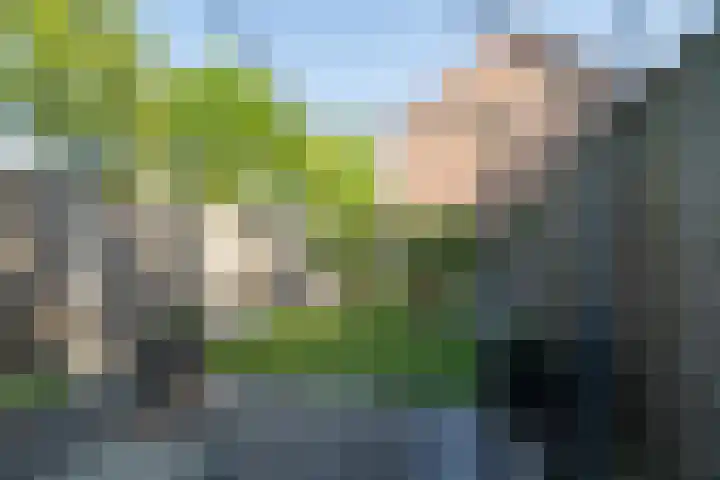 Borggrevelanden 38 Enschede thumbnail 36