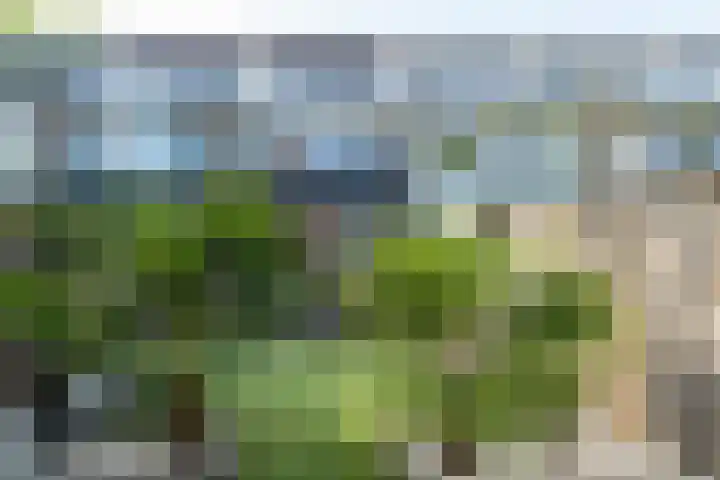 Borggrevelanden 38 Enschede thumbnail 4
