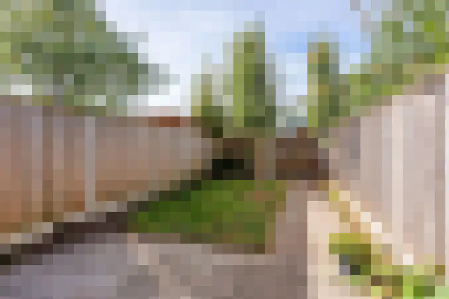 Borggrevelanden 49 Enschede thumbnail 16