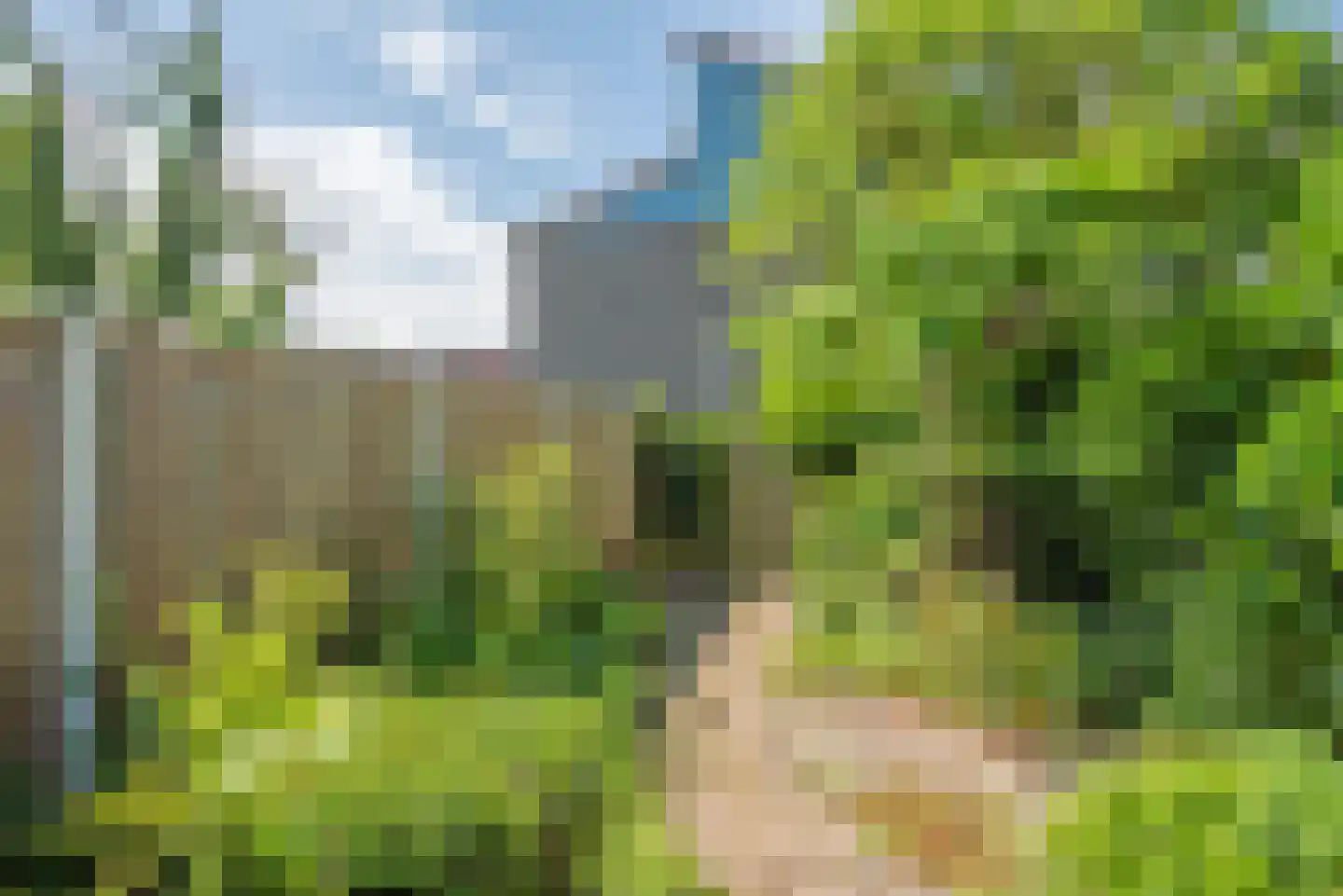 Borggrevelanden 55 Enschede thumbnail 30