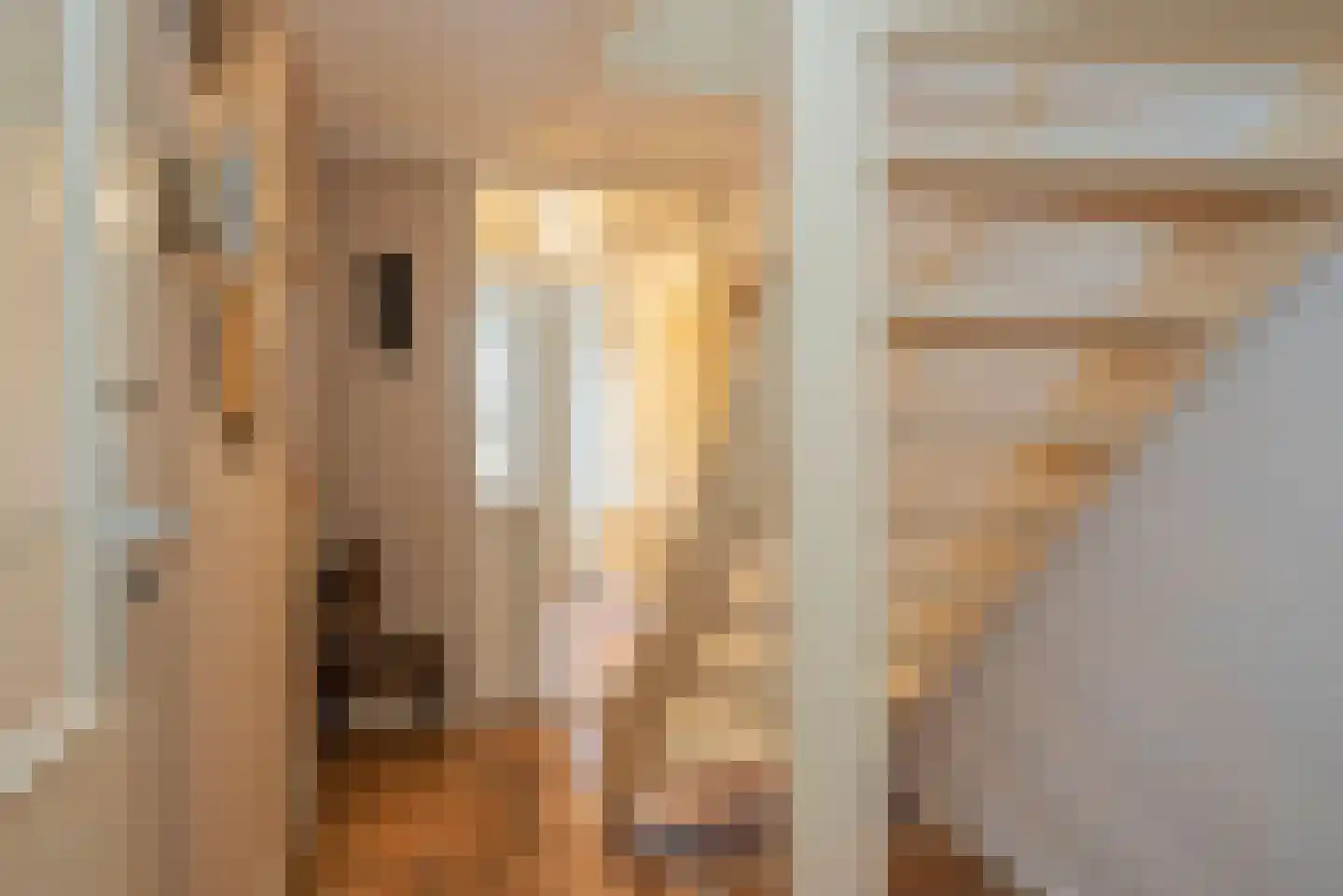 Borggrevelanden 55 Enschede thumbnail 6