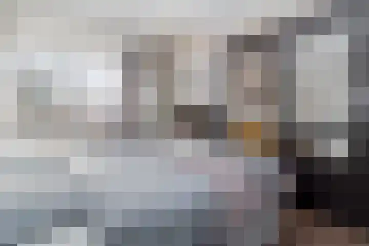 Borghaag 128 B Maastricht thumbnail 11