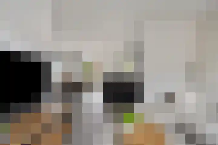 Borghaag 49 Maastricht thumbnail 5