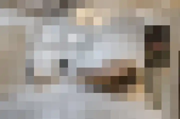 Borghaag 60 Maastricht thumbnail 38