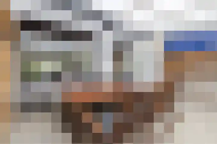 Borghaag 60 Maastricht thumbnail 43