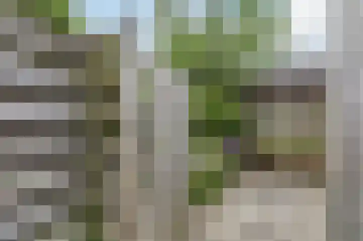 Borghaag 60 Maastricht thumbnail 47