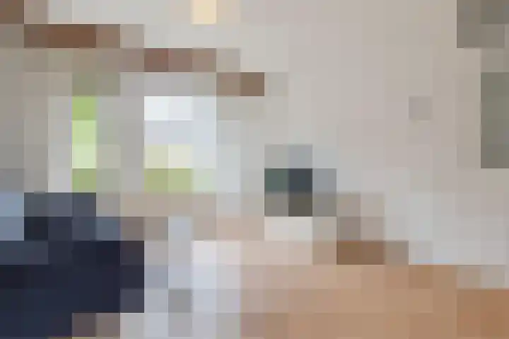 Borghaag 60 Maastricht thumbnail 8