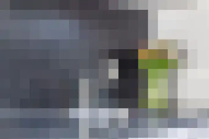 Borghaag 90 Maastricht thumbnail 12
