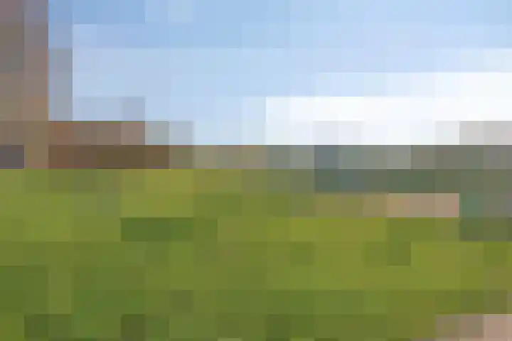 Borghaag 90 Maastricht thumbnail 28