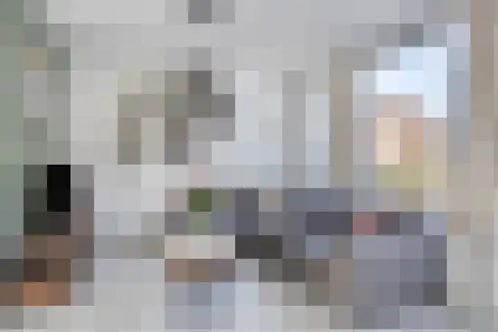 Borghaag 90 Maastricht thumbnail 5