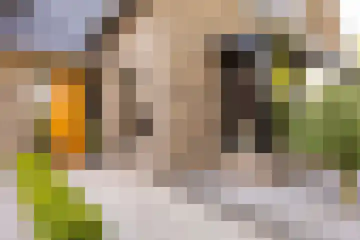 Borgharen 15 Hengelo thumbnail 10