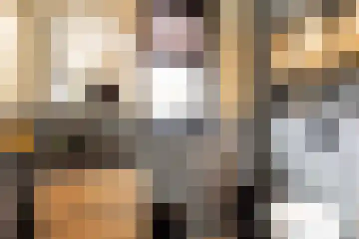 Borgharen 15 Hengelo thumbnail 13