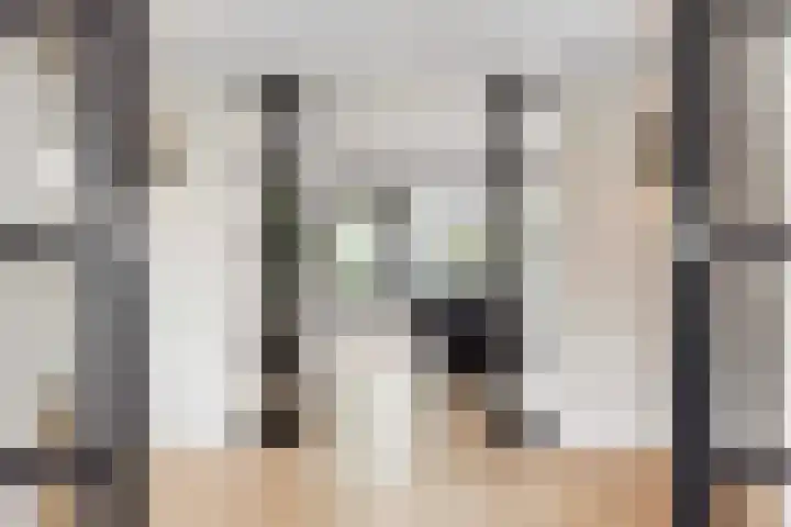 Borgharen 15 Hengelo thumbnail 15