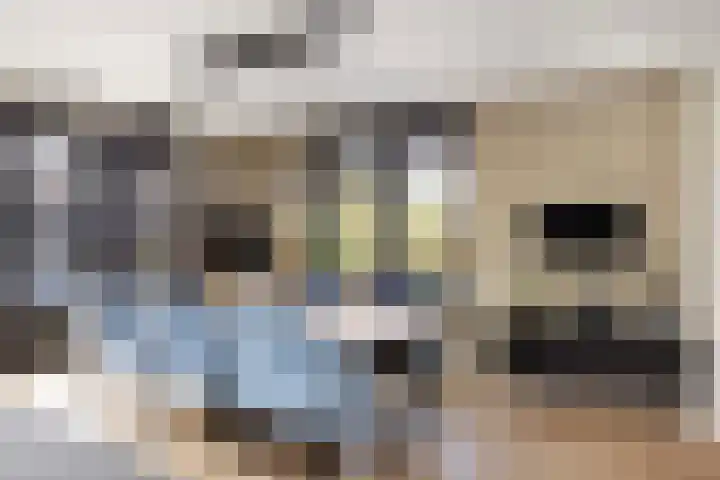 Borgharen 15 Hengelo thumbnail 20