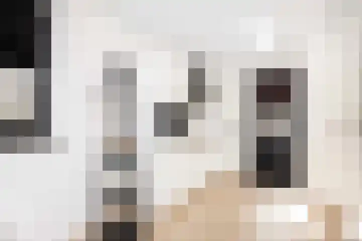 Borgharen 15 Hengelo thumbnail 24