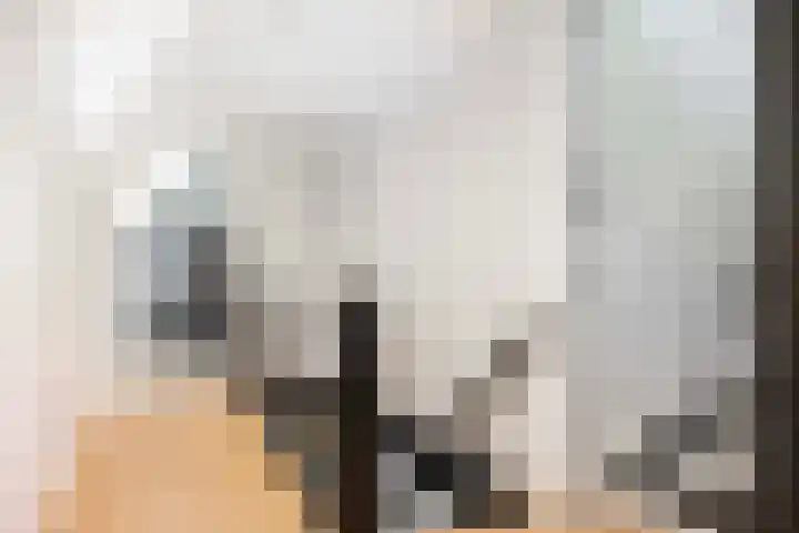 Borgharen 15 Hengelo thumbnail 25