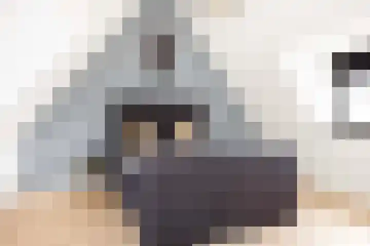 Borgharen 15 Hengelo thumbnail 26