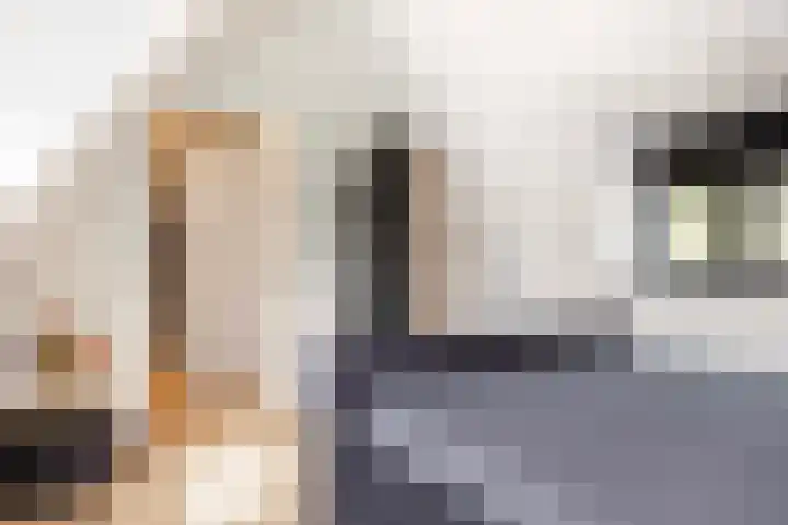 Borgharen 15 Hengelo thumbnail 27